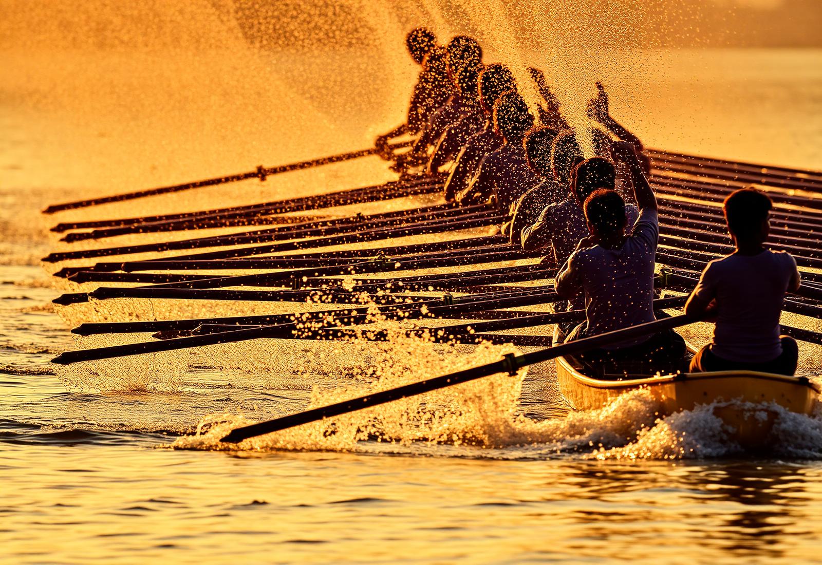 Synchronised rowers mid-stroke